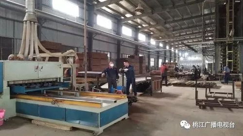 桃江經開區2018年實現稅收1.5億元